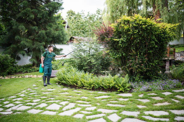 Best Ant Control Services  in Enterprise, WV