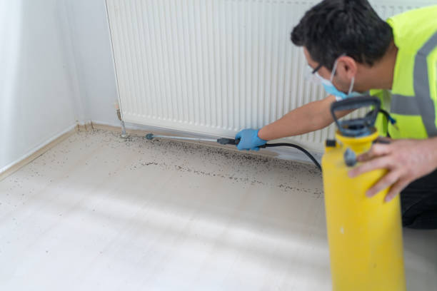 Best Exterminator Services  in Enterprise, WV