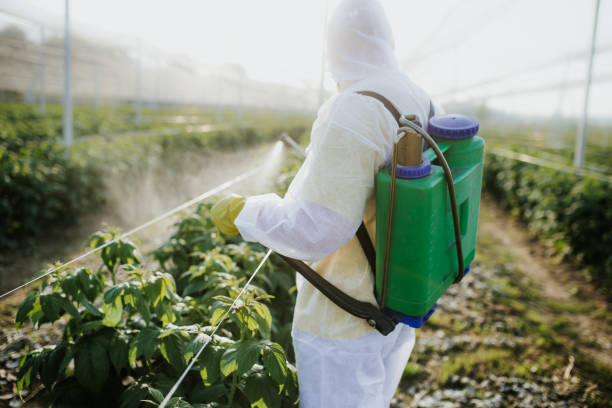 Reliable Enterprise, WV Pest Control Solutions